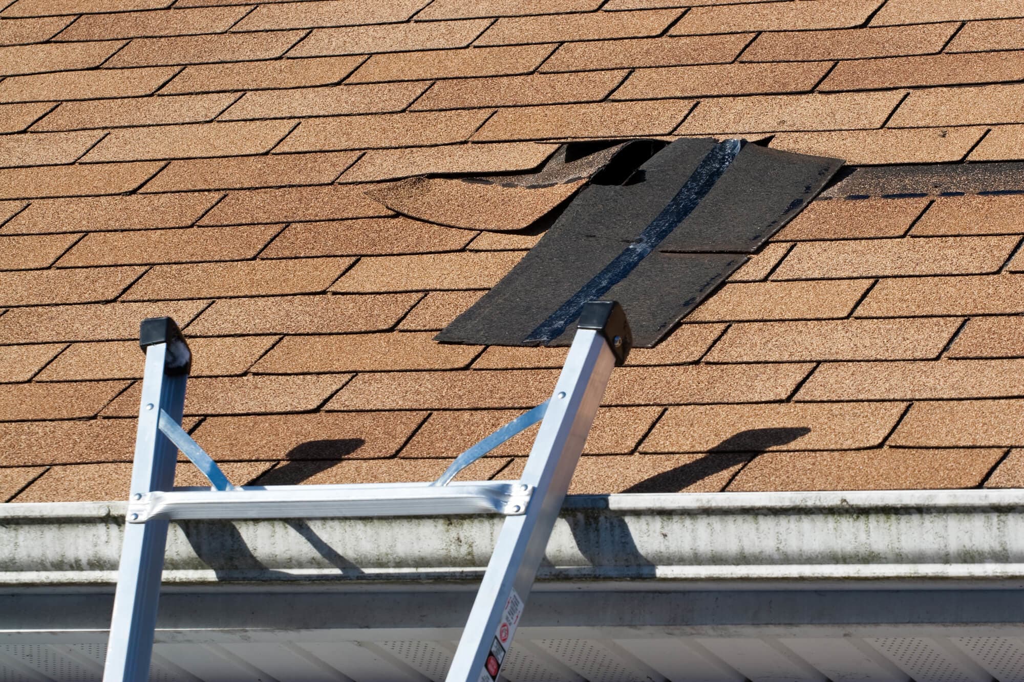 Trusted Support for wind damage insurance claim After Storm Damage